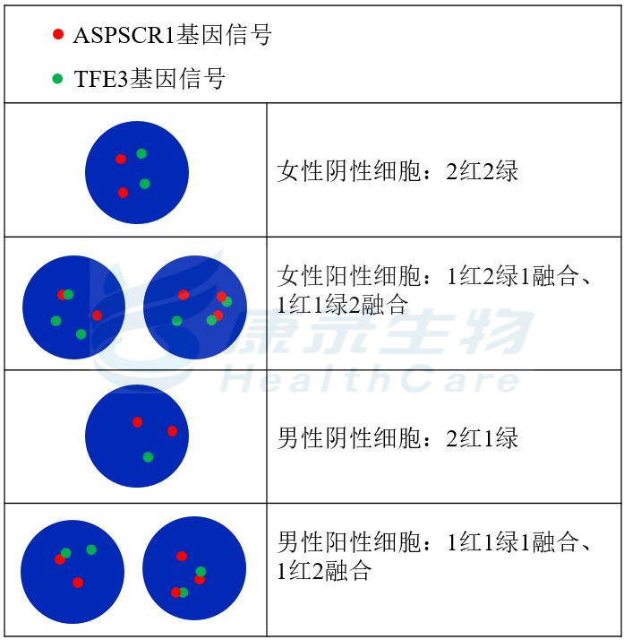 中国·拉斯维加斯(3499·官方认证)网站-Officialwebsite